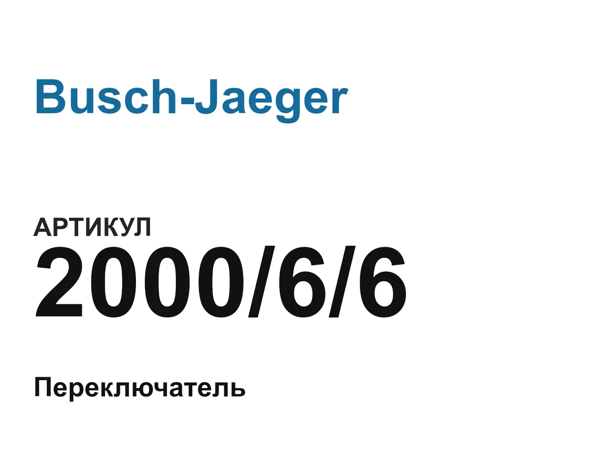 200066 Busch-Jaeger