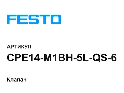 CPE14M1BH5LQS6 FESTO
