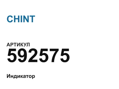 592575 CHINT