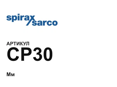 CP30 Spirax Sarco