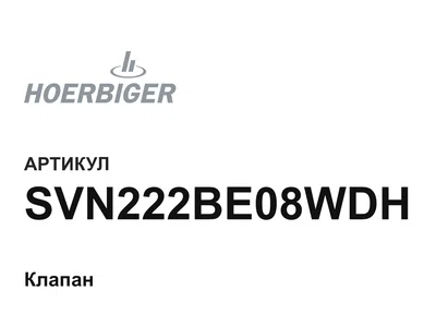 SVN222BE08WDH HOERBIGER