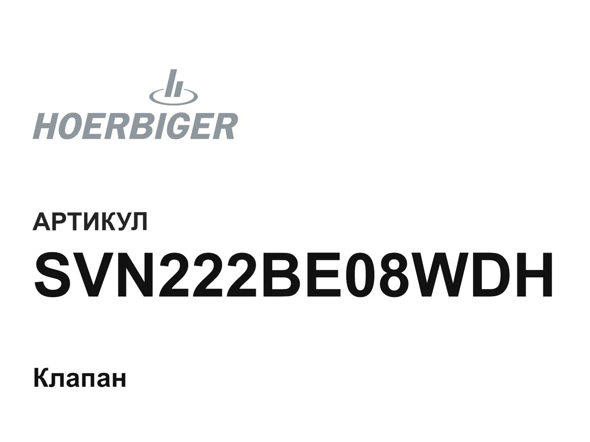 SVN222BE08WDH HOERBIGER