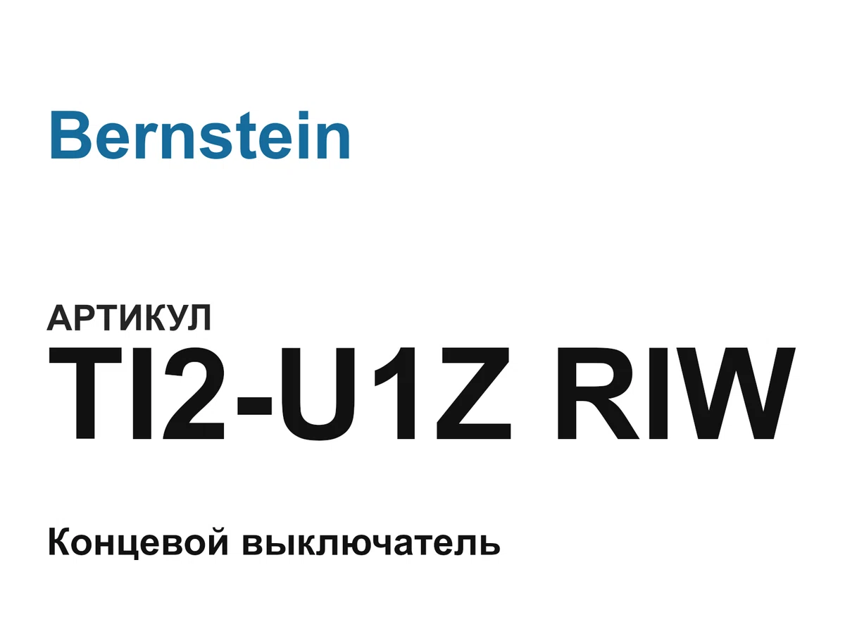 TI2U1ZRIW Bernstein