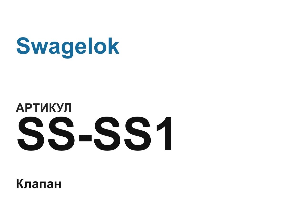 SSSS1 Swagelok