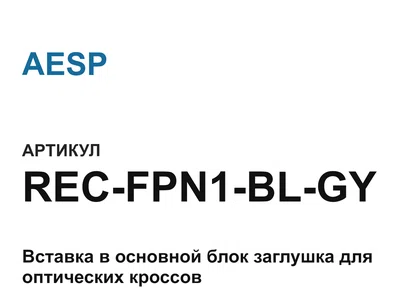 RECFPN1BLGY AESP