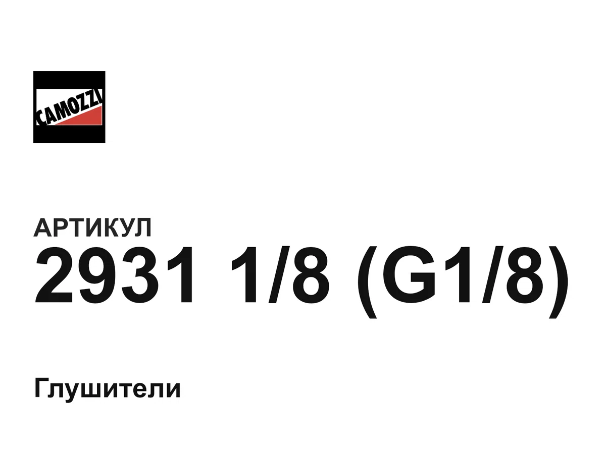 293118G18 Camozzi