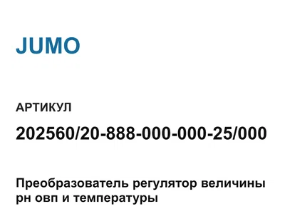 2025602088800000025000 JUMO