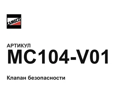 MC104V01 Camozzi