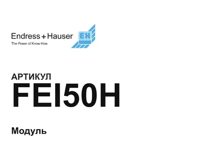 FEI50H Endress+Hauser