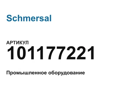101177221 Schmersal
