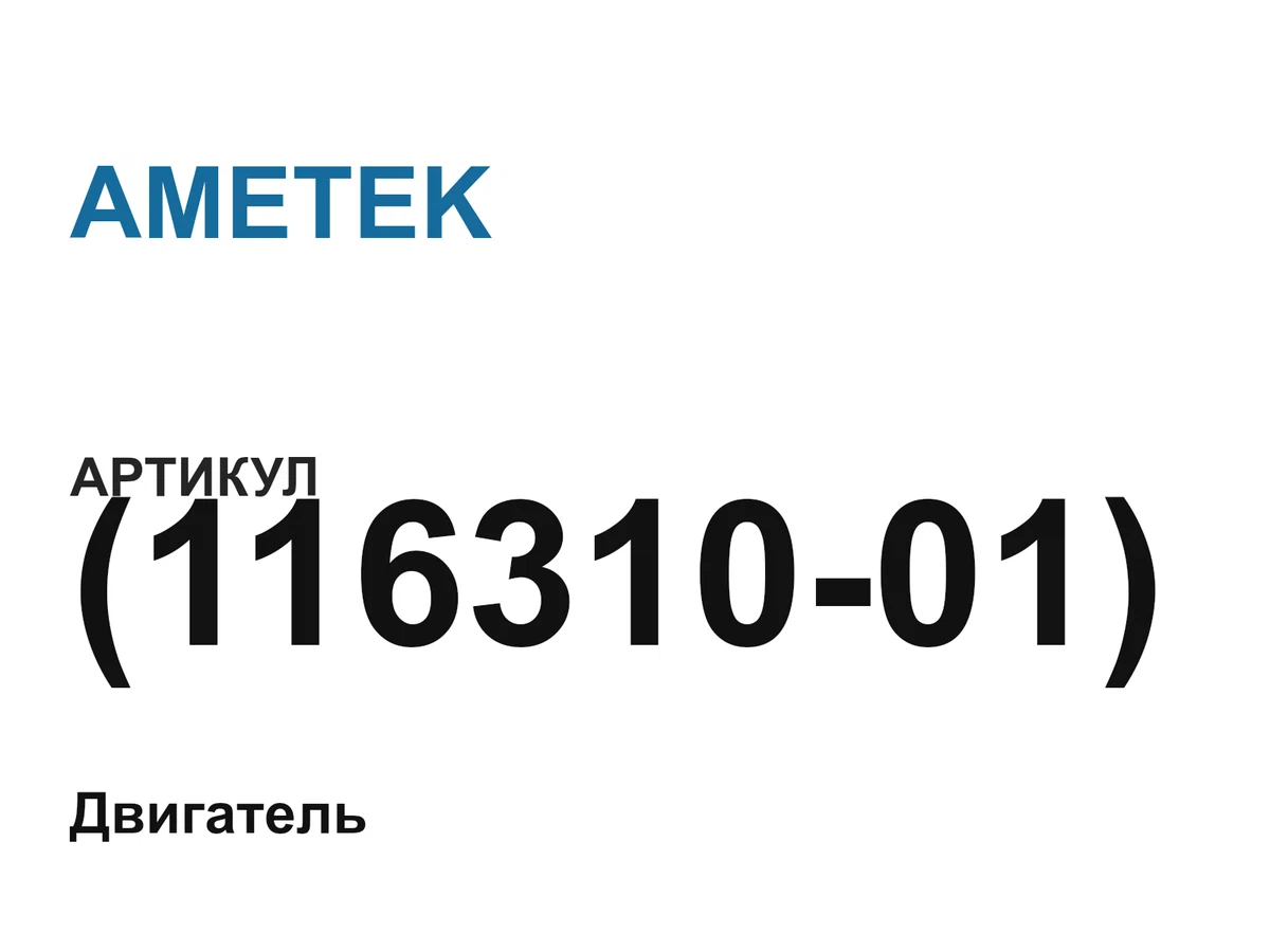 11631001 AMETEK