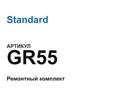 GR55 Standard