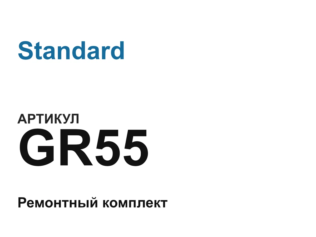 GR55 Standard