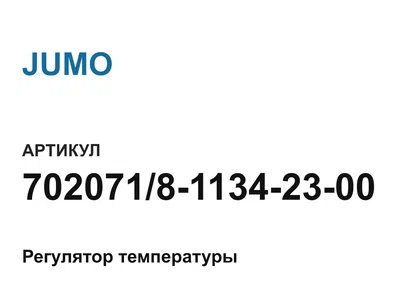 702071811342300 JUMO