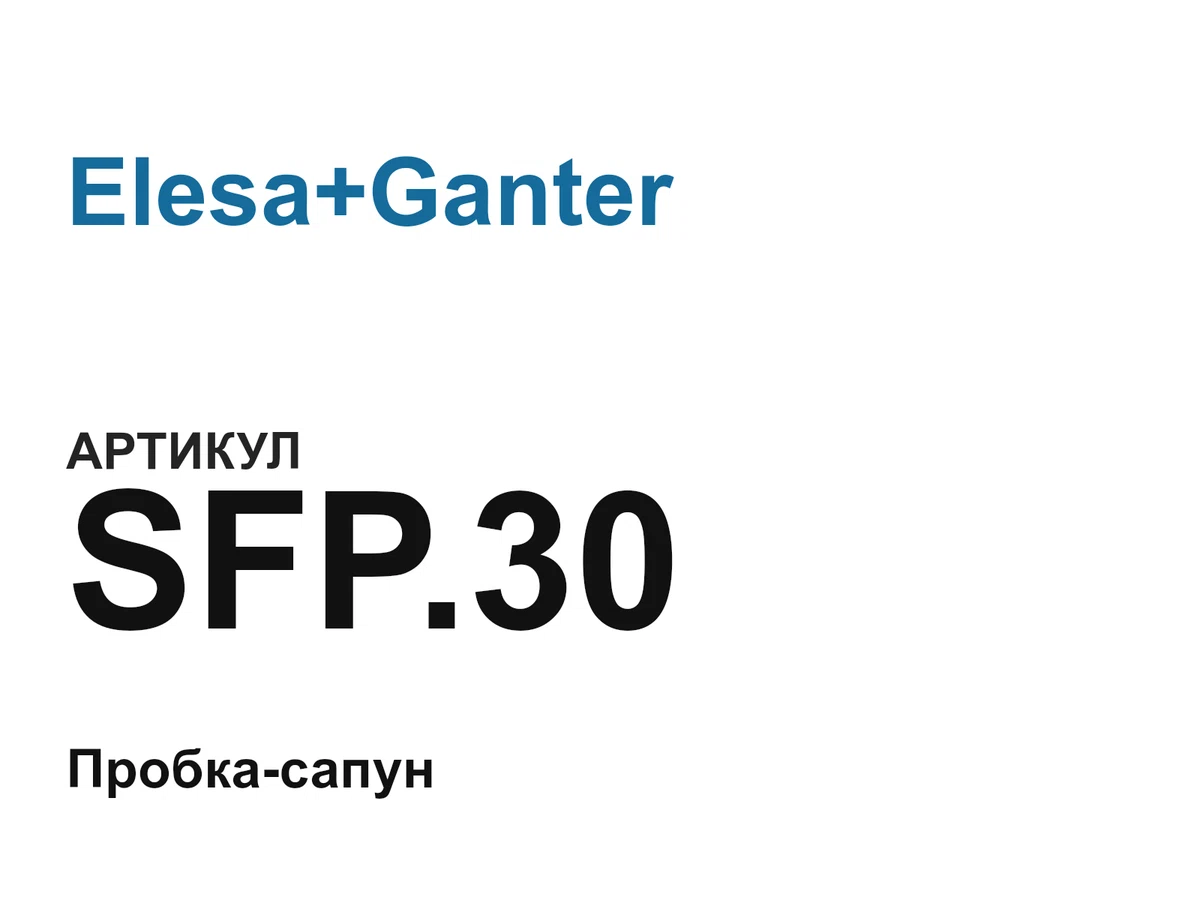 SFP30 Elesa+Ganter
