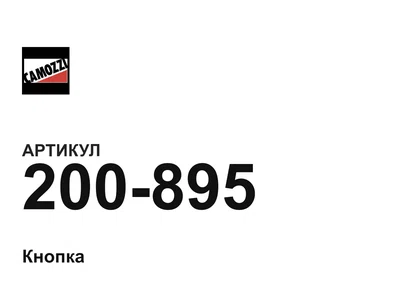200895 Camozzi