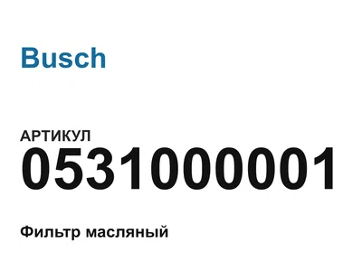 0531000001 Busch