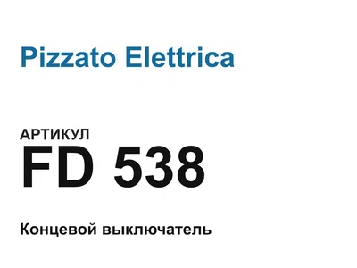 FD538 Pizzato Elettrica