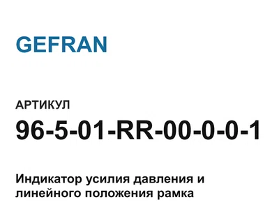 96501RR00001 GEFRAN