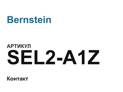SEL2A1Z Bernstein