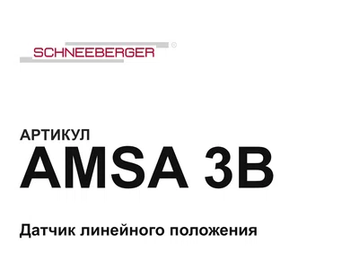 AMSA3B Schneeberger