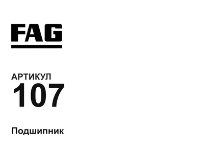 107 FAG