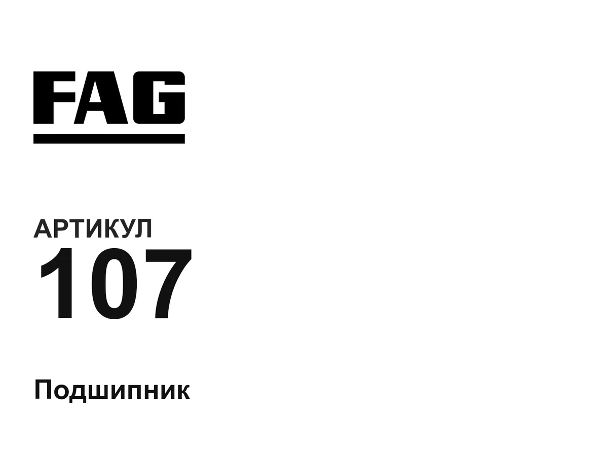 107 FAG