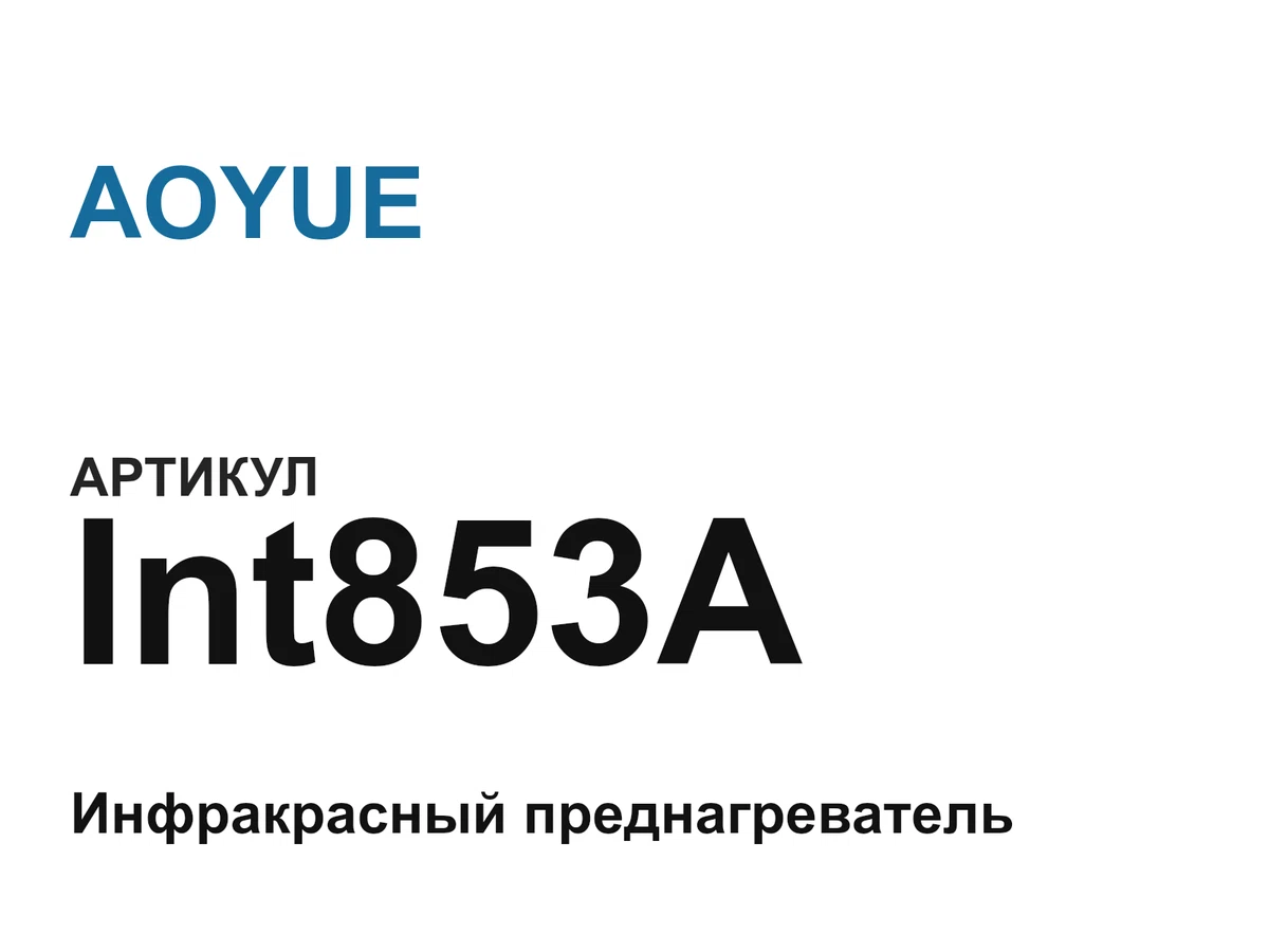 Int853A AOYUE