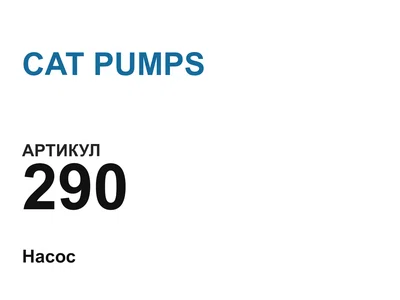 290 CAT PUMPS
