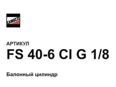FS406CIG18 Camozzi