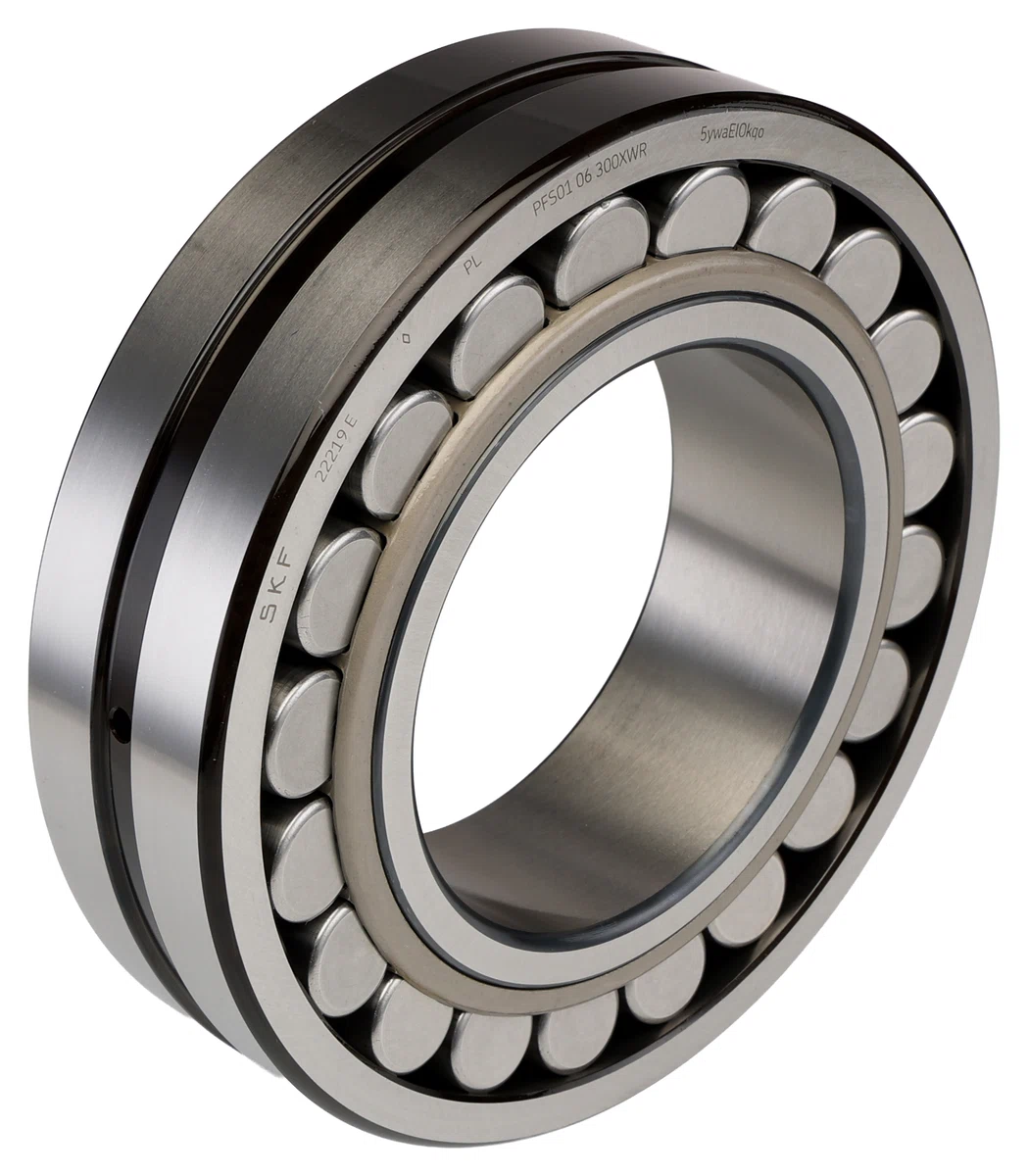 22219 E SKF