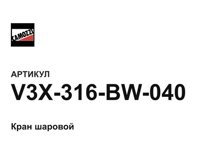 V3X316BW040 Camozzi