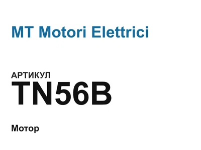 TN56B MT Motori Elettrici