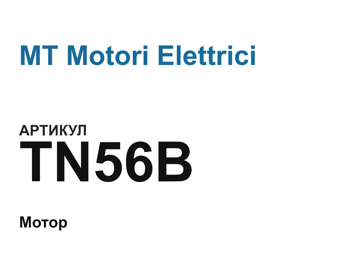 TN56B MT Motori Elettrici
