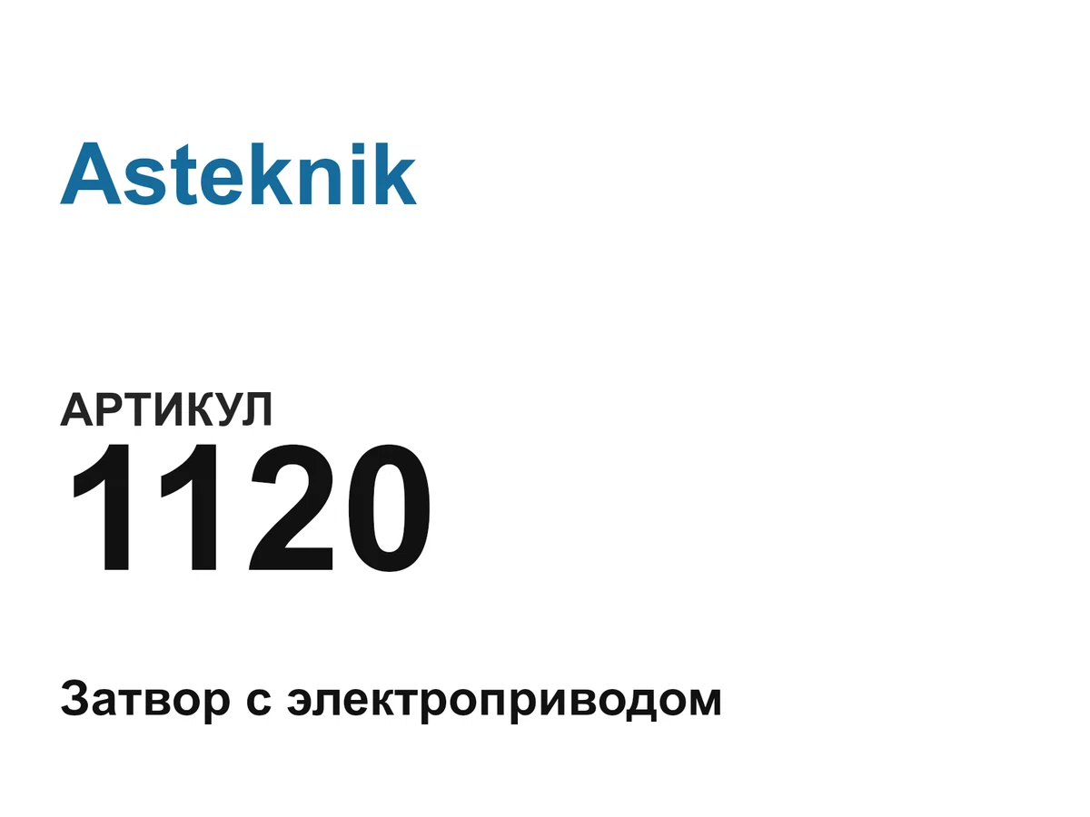 1120 Asteknik