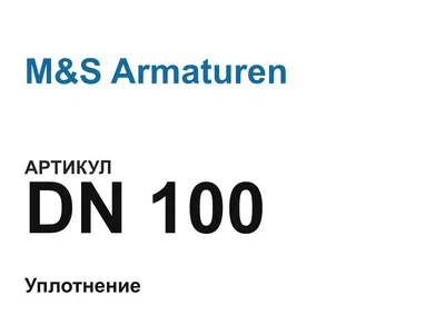DN100 M&S Armaturen