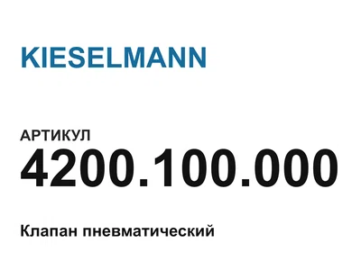 4200100000 KIESELMANN