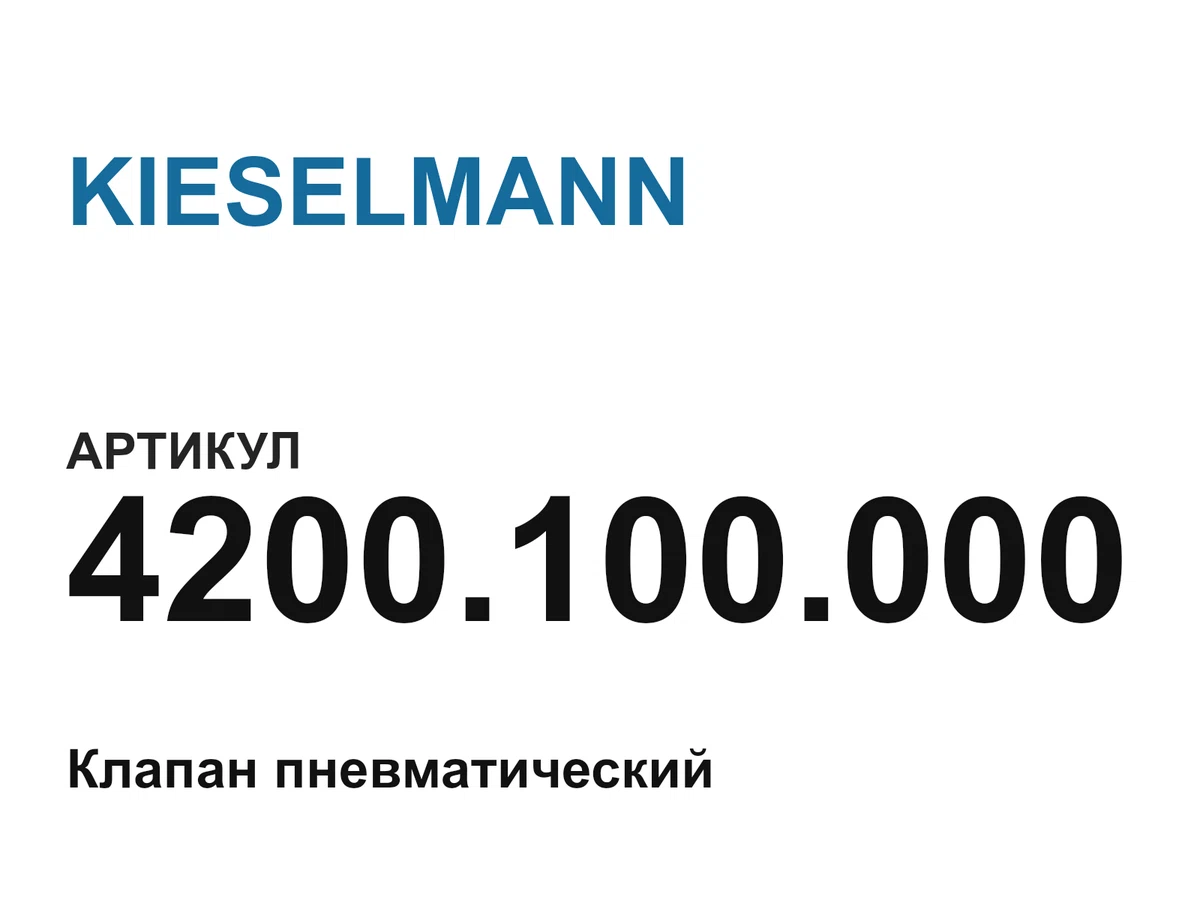 4200100000 KIESELMANN