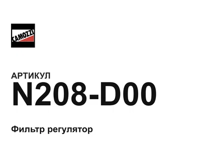 N208D00 Camozzi
