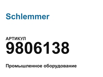 9806138 Schlemmer