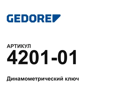 420101 GEDORE