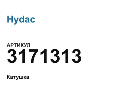 3171313 Hydac