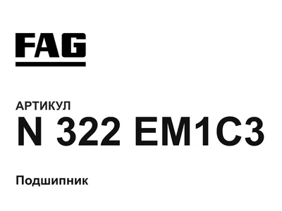 N322EM1C3 FAG