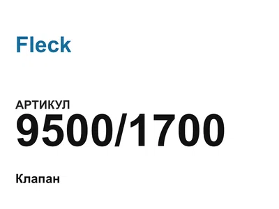 95001700 Fleck