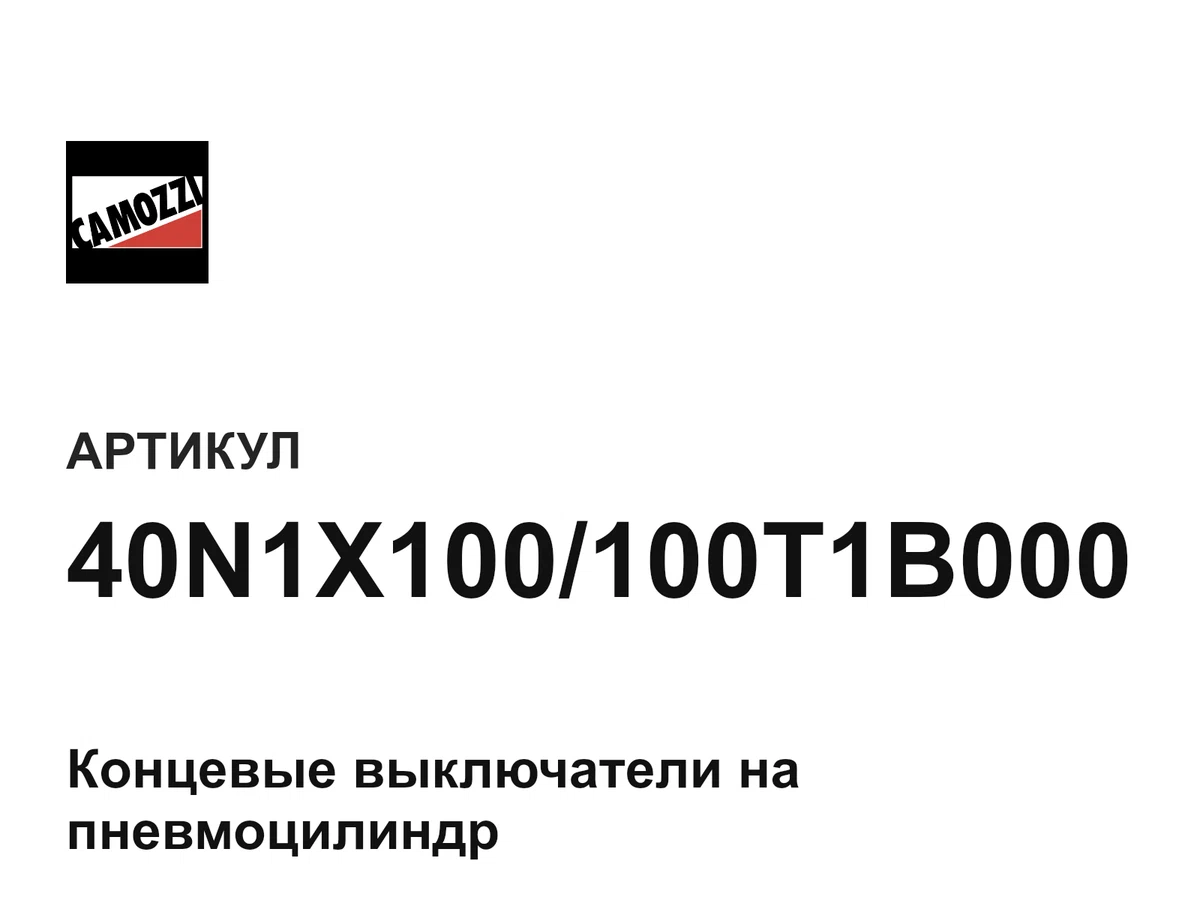 40N1X100100T1B000 Camozzi