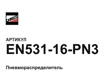 EN53116PN3 Camozzi