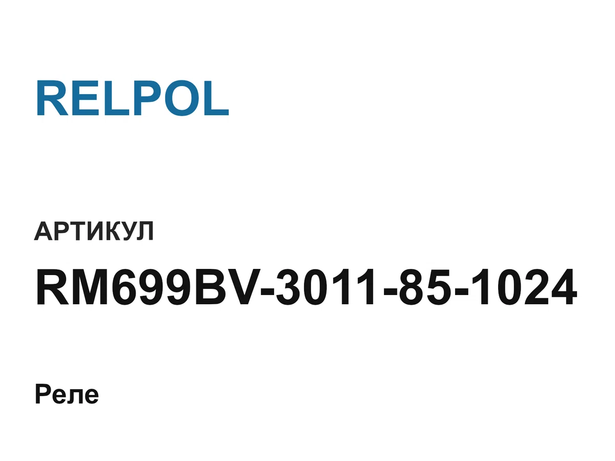 RM699BV3011851024 RELPOL
