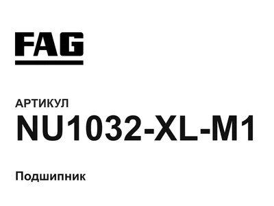 NU1032XLM1 FAG