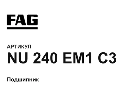 NU240EM1C3 FAG