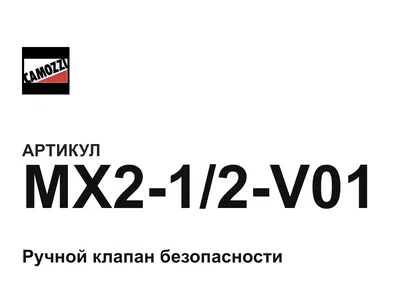 MX212V01 Camozzi